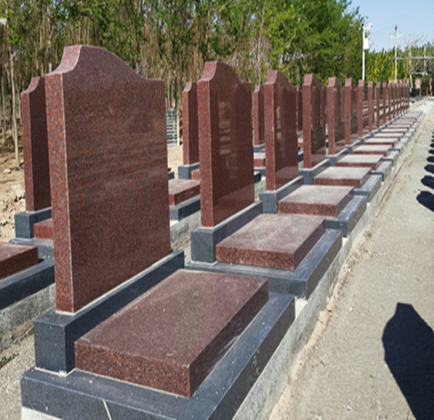 69f2208702812.jpg